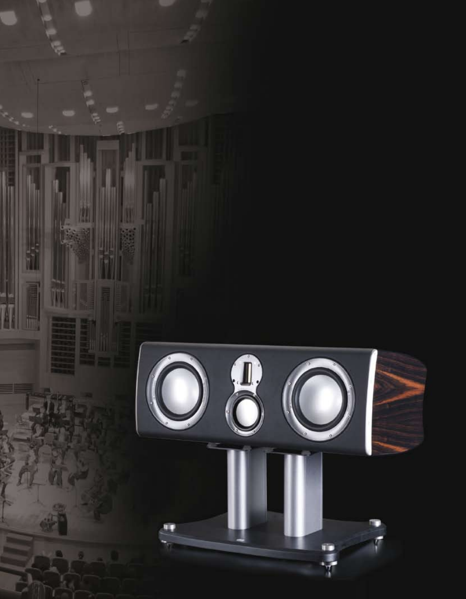 Monitor Audio Loudspeaker Platinum Series User Manual | Page 25 / 34