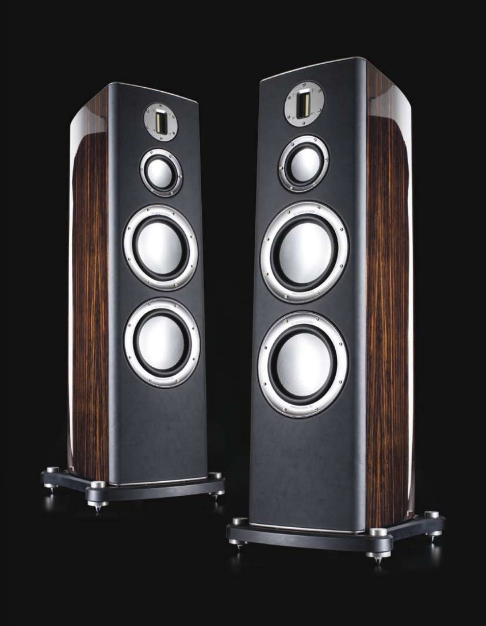 Monitor Audio Loudspeaker Platinum Series User Manual | Page 5 / 34