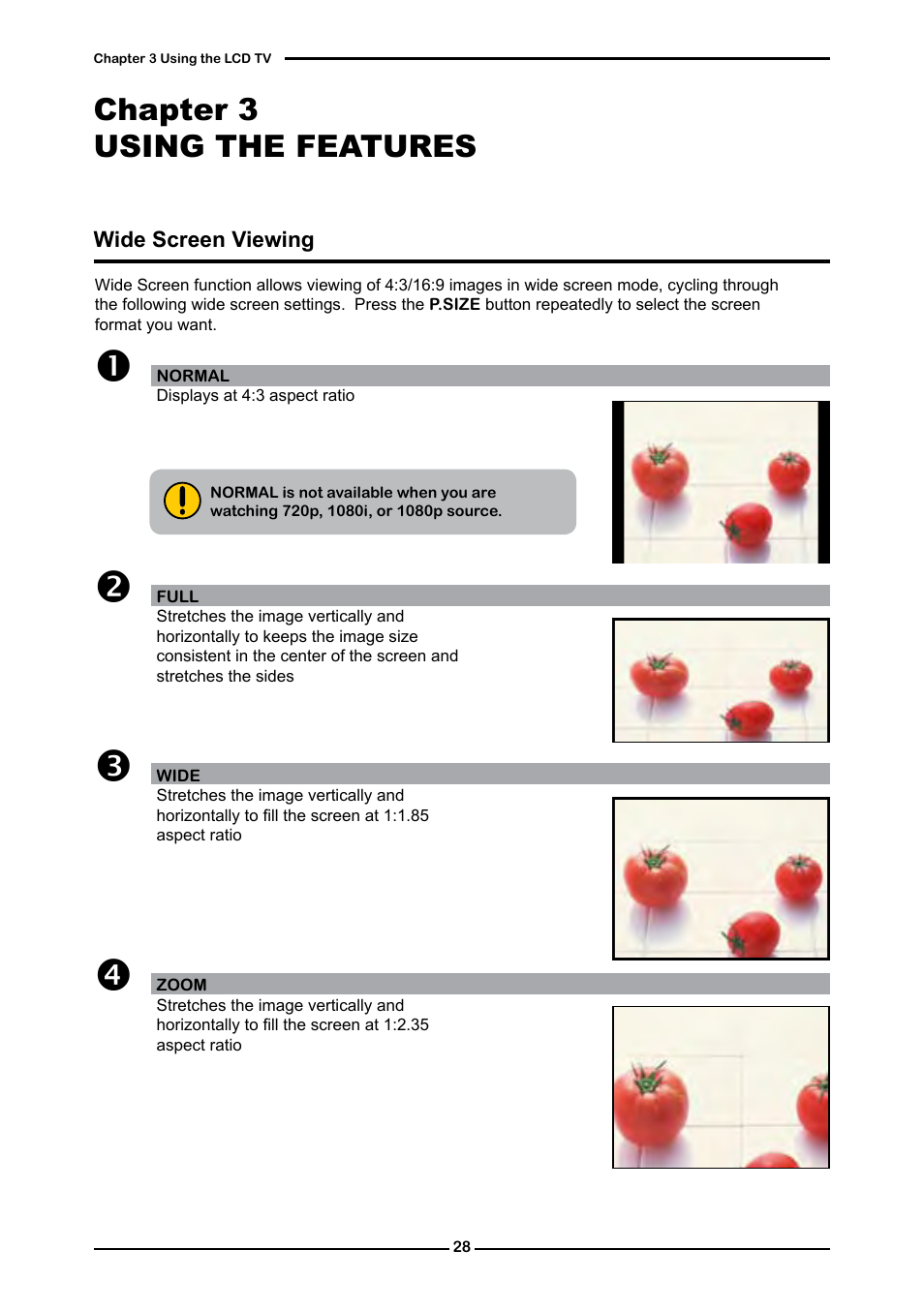 Chapter 3 using the features | Memorex 1080p User Manual | Page 30 / 103