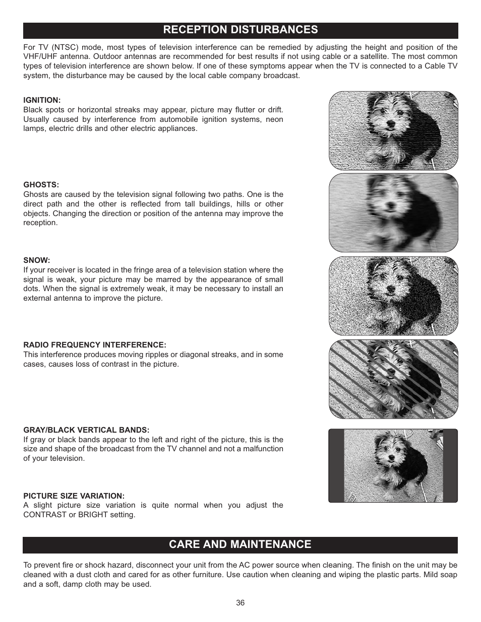 Reception disturbances care and maintenance | Memorex MT2025D User Manual | Page 37 / 76