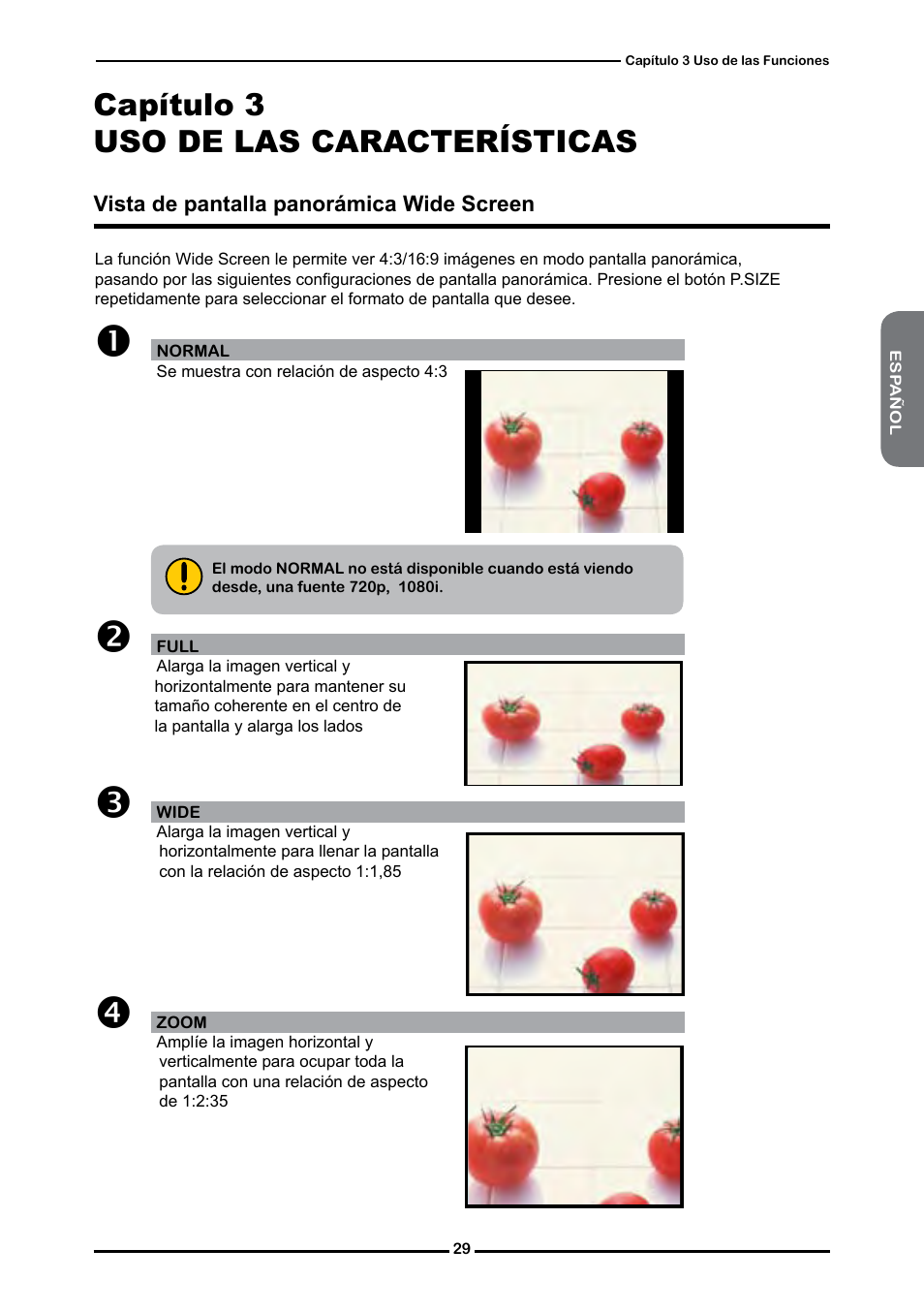 Capítulo 3 uso de las características | Memorex MLT4221P User Manual | Page 81 / 103