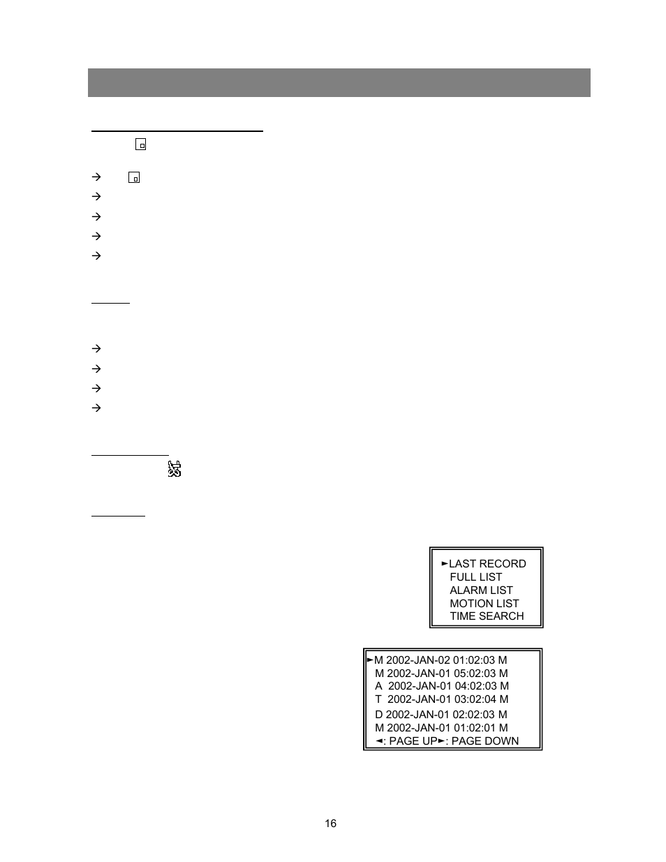 Operation options advanced operation, Picture in picture (pip), Zoom | Video loss, Search | Maxtor CDR-04S User Manual | Page 17 / 26