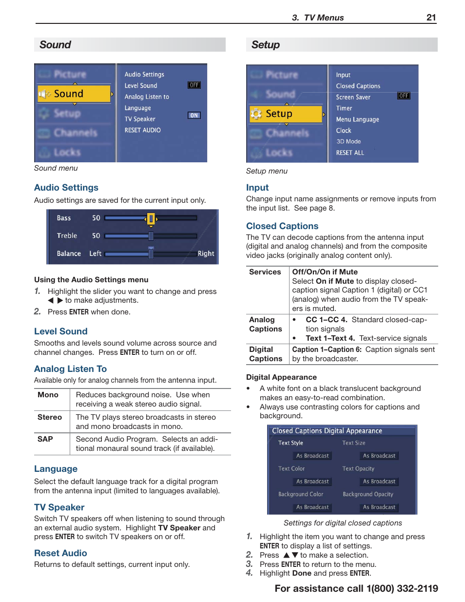 S ound, Setup | Mitsumi electronic C10 SERIES User Manual | Page 21 / 40