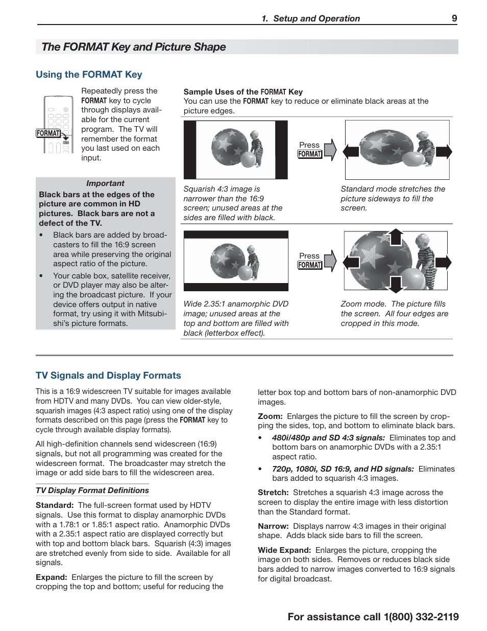 The fo, Rmat key and picture shape | Mitsumi electronic C10 SERIES User Manual | Page 9 / 40
