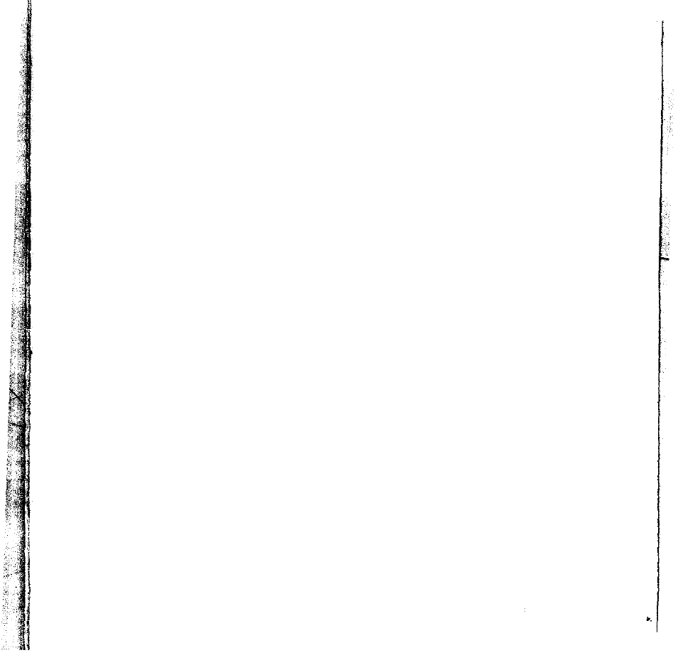 Commonly asked questions what has | Mr. Coffee BMR 200 User Manual | Page 17 / 20