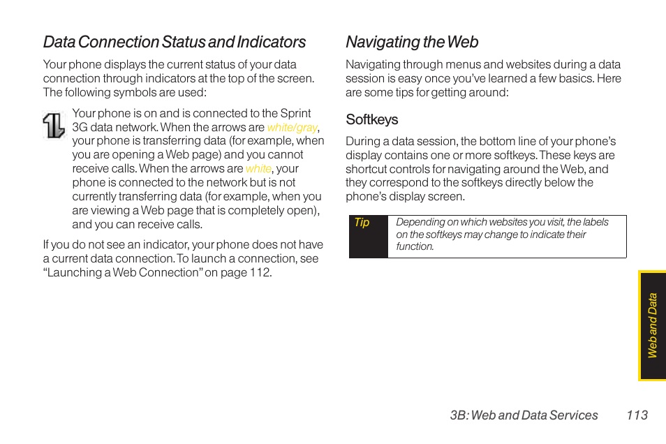 Data connection status and indicators, Navigating the web | LG RUMOR LG260 User Manual | Page 125 / 160