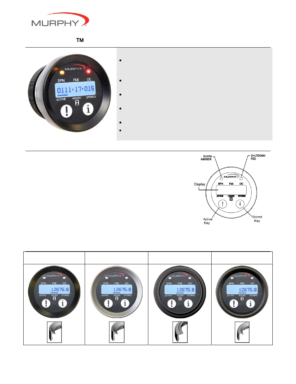 Murphy Diagnostic Display PV10 User Manual | 2 pages