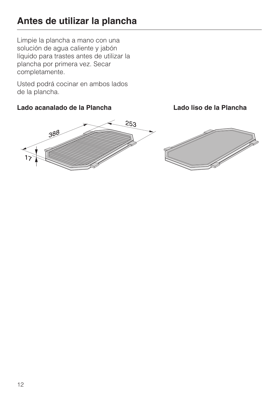 Antes de utilizar la plancha 12, Antes de utilizar la plancha | Miele KMGP 340 User Manual | Page 12 / 20