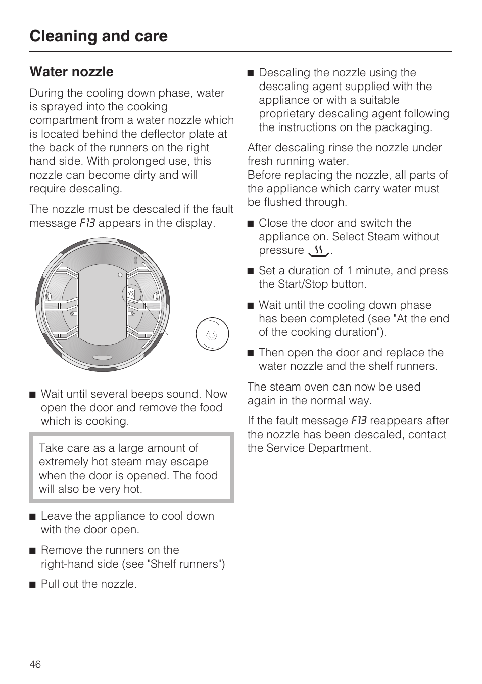 Water nozzle 46, Cleaning and care, Water nozzle | Miele DG 4164  EN User Manual | Page 46 / 60