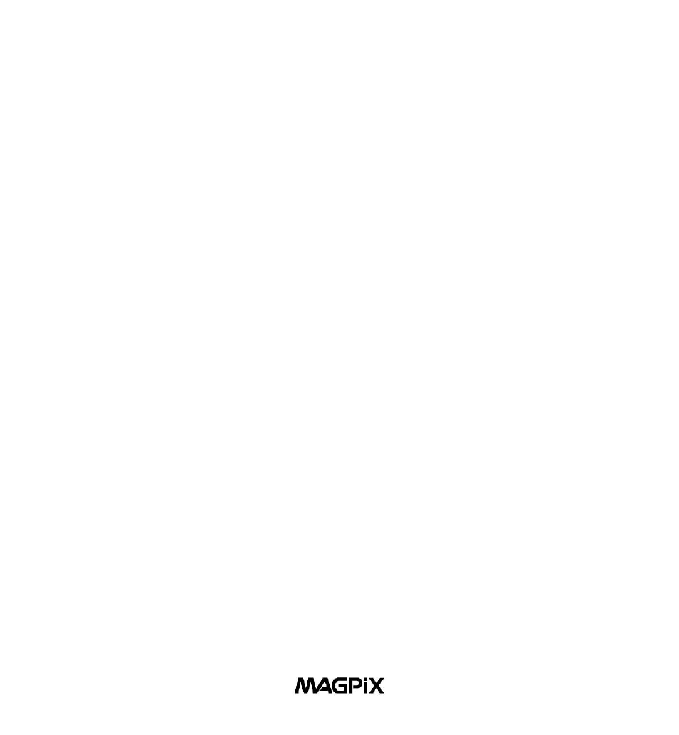 MAGPiX B350 User Manual | 30 pages