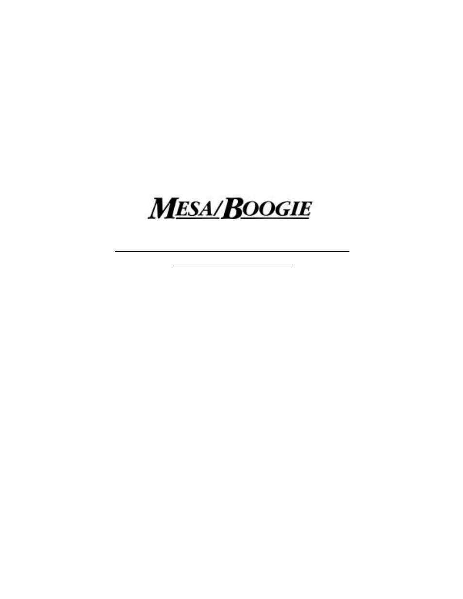 Mesa/Boogie 395 User Manual | 3 pages