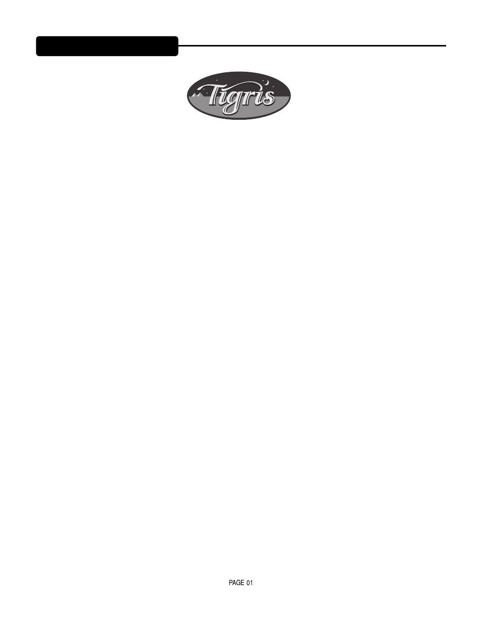 Chapter 1 precautions | Mesa/Boogie Vacuum Tube Audio User Manual | Page 4 / 31
