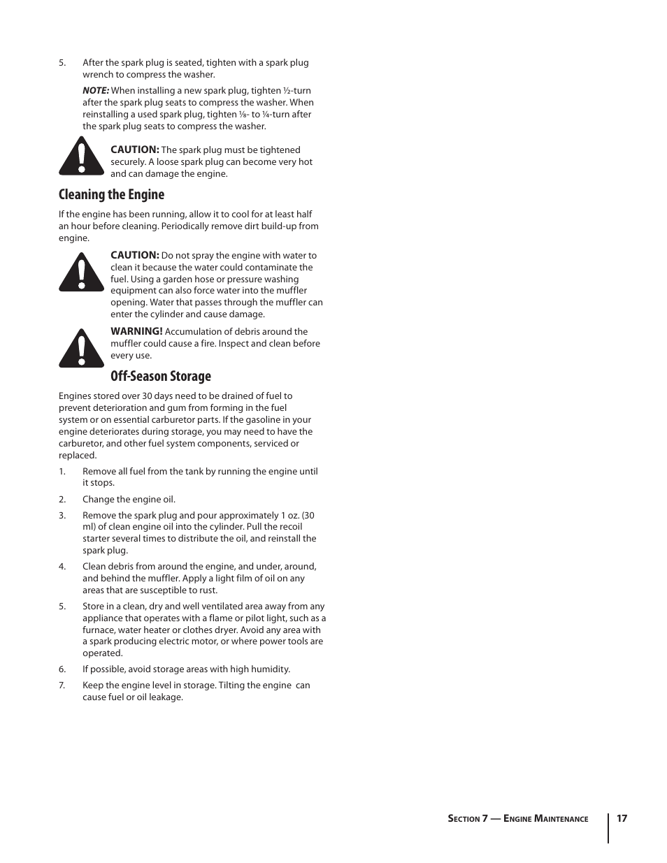 Cleaning the engine, Off-season storage | MTD 2P5 User Manual | Page 17 / 24