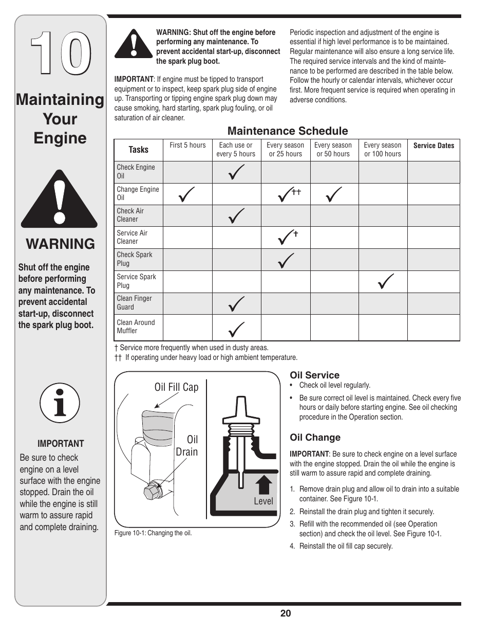 Maintaining your engine, Warning | MTD 5DM User Manual | Page 20 / 52