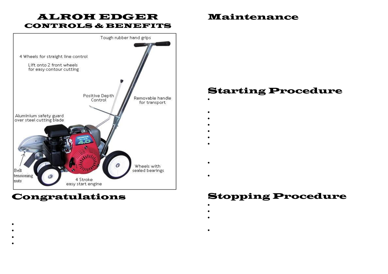 Alroh edger, Maintenance, Starting procedure | Stopping procedure | M.E.Y. Equipment ALROH EDGER User Manual | Page 2 / 2