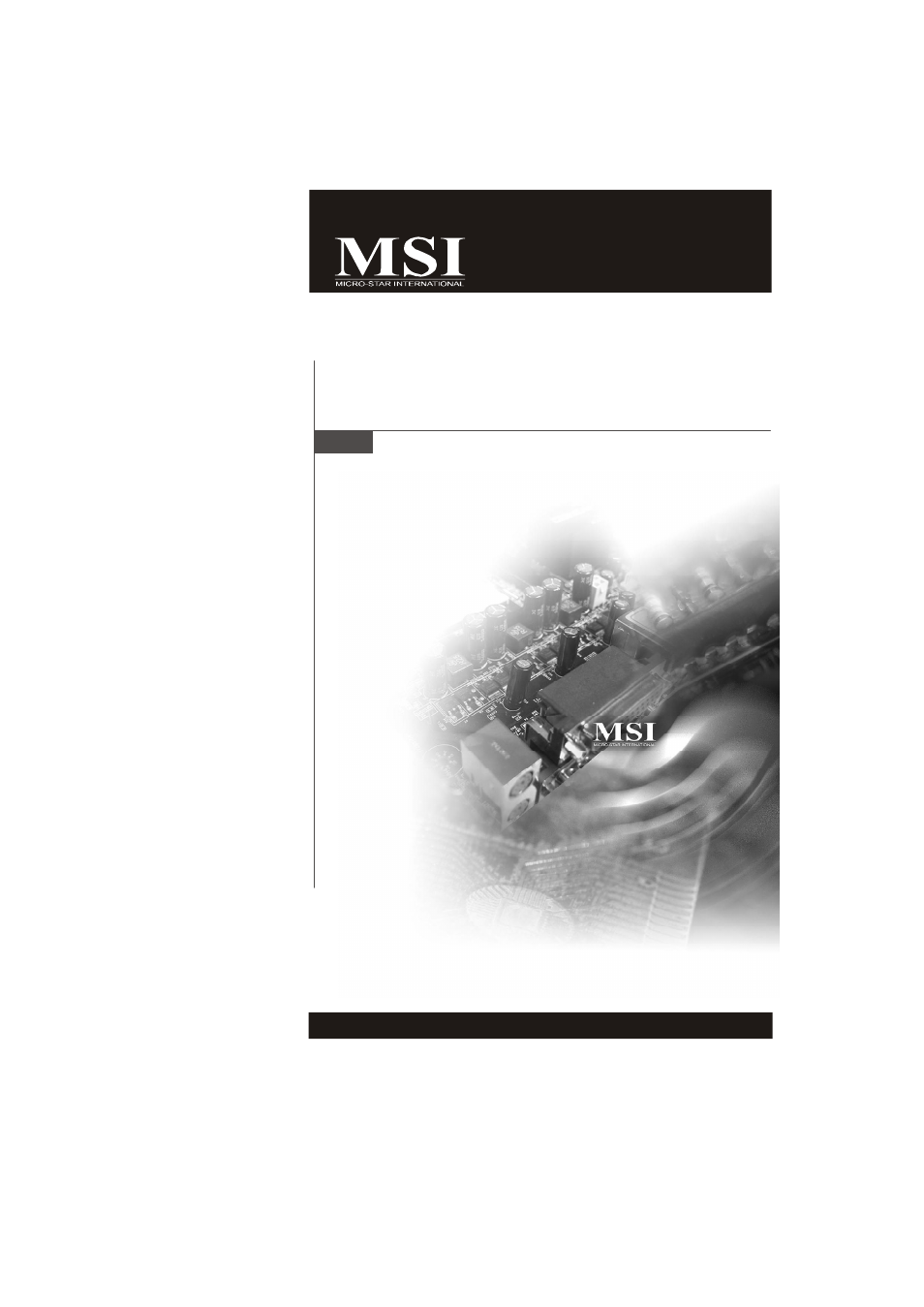 Micro Star  Computer G31M User Manual | 116 pages