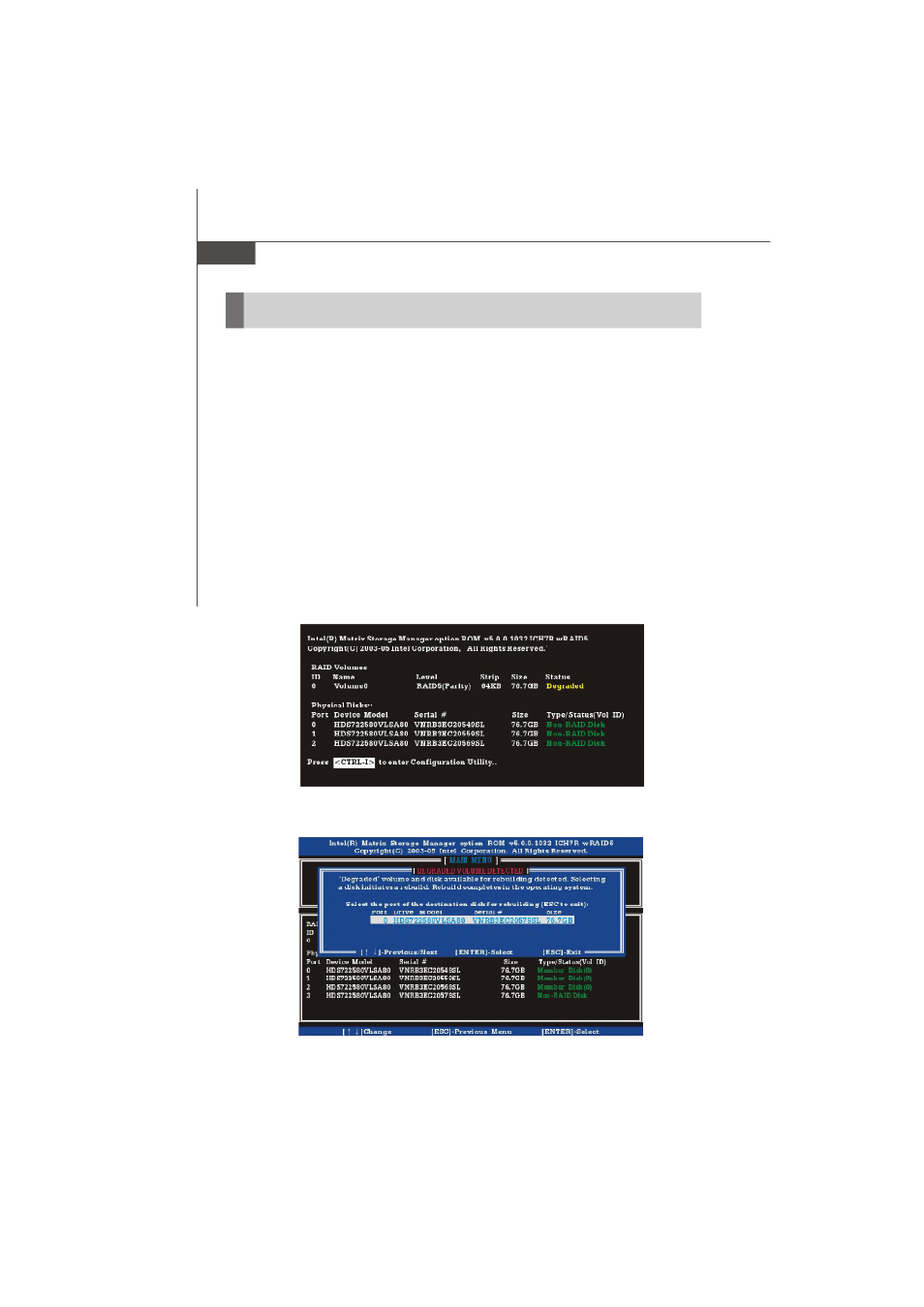 Degraded raid array | Micro Star  Computer G31M User Manual | Page 115 / 116