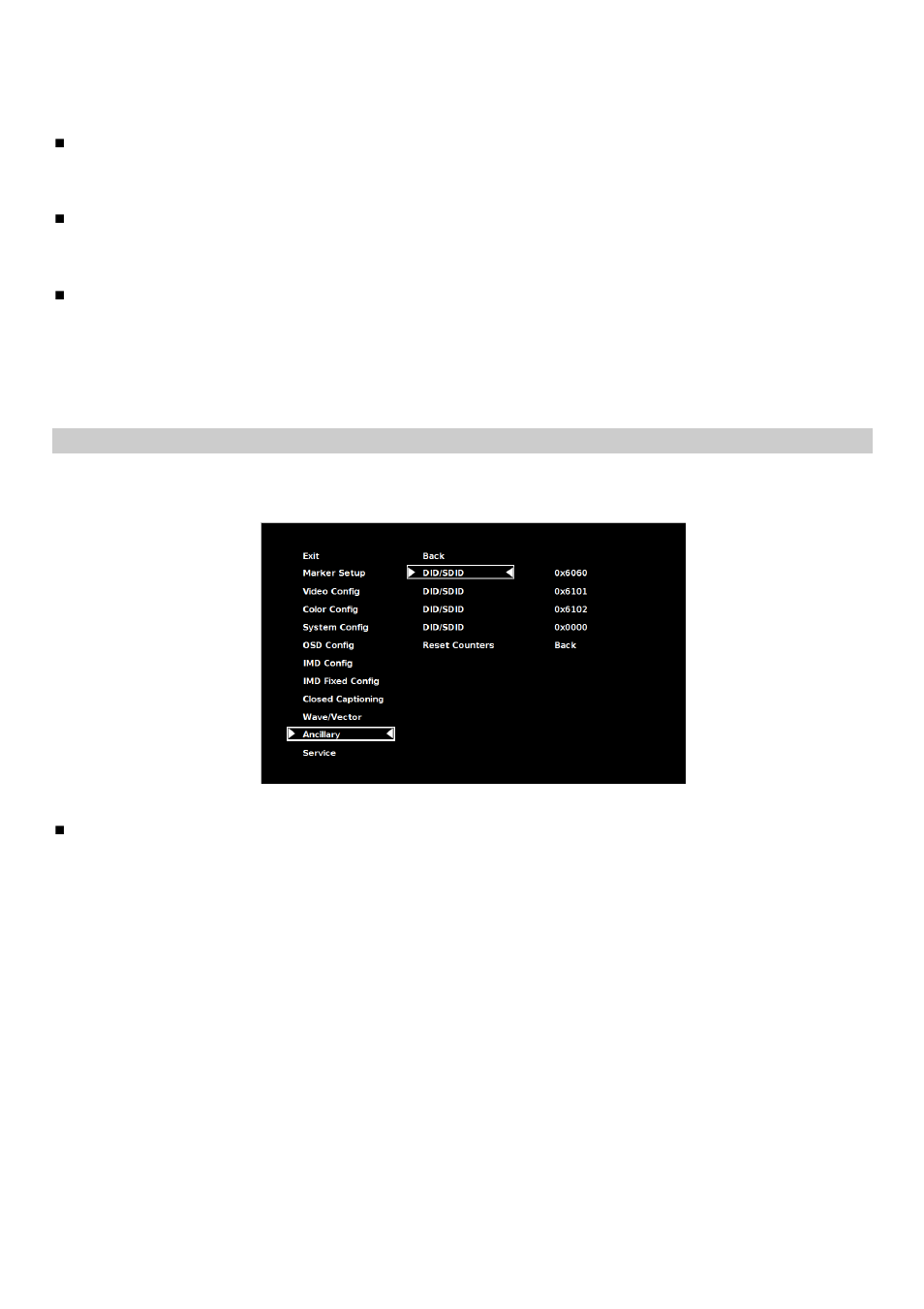 Ancillary submenu | Marshall electronic V-R171X-DLW User Manual | Page 28 / 33