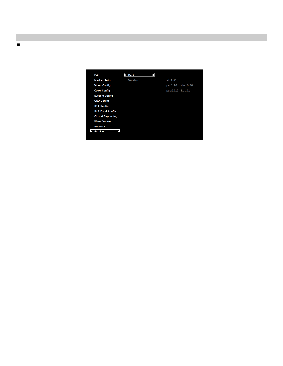 Service submenu | Marshall electronic V-R261-DLW User Manual | Page 31 / 36