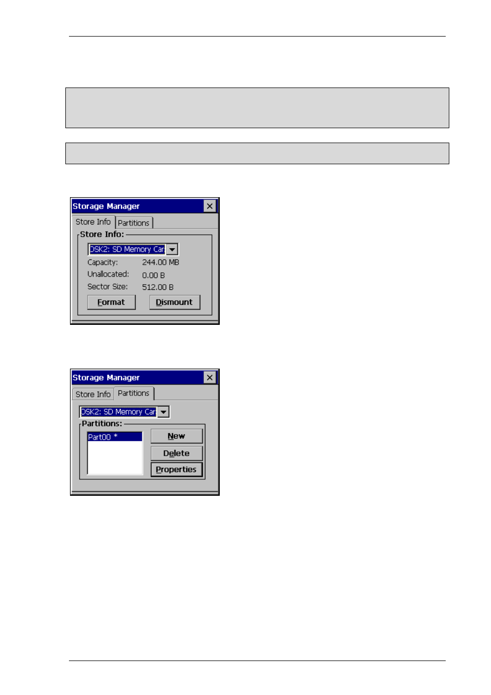 Storagemanager (storagemanager), Store info, Partitions | Micro Innovations M000174-19 User Manual | Page 39 / 82
