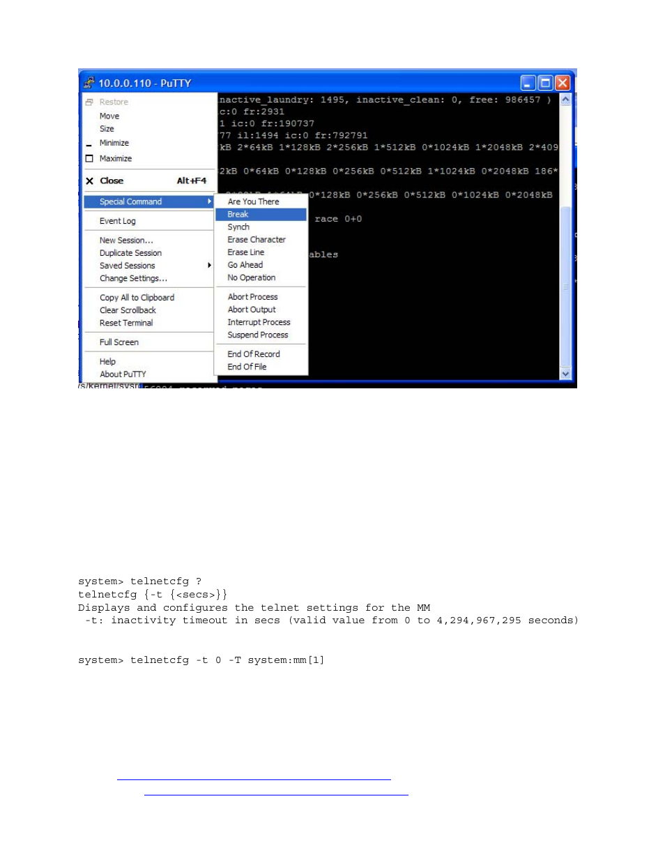 9 netdump, Netdump, Figure 38 alt-sysrq from putty | McDATA 8832 User Manual | Page 38 / 54