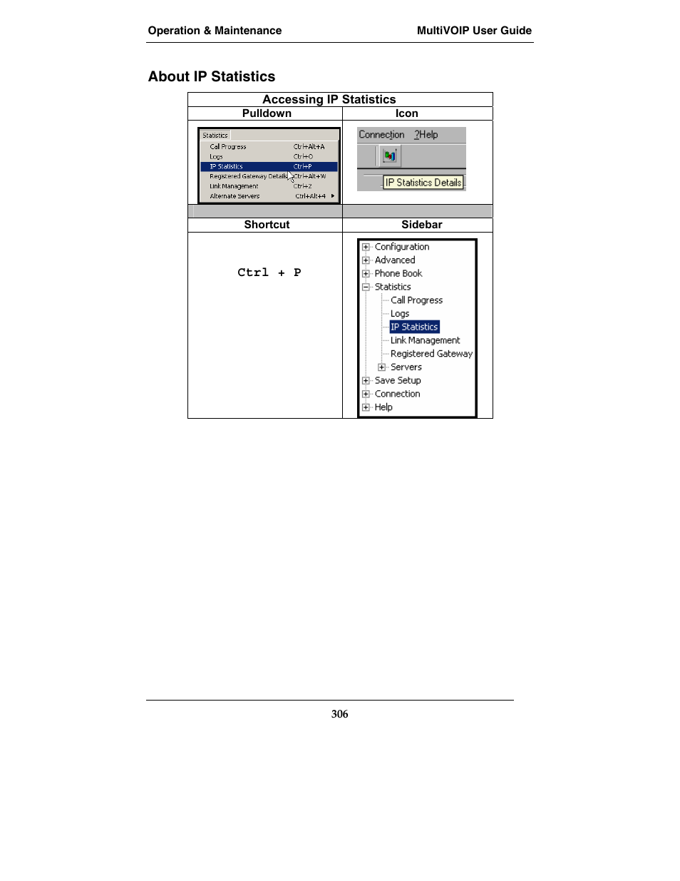 About ip statistics | Multi-Tech Systems MVP210-SS User Manual | Page 306 / 415