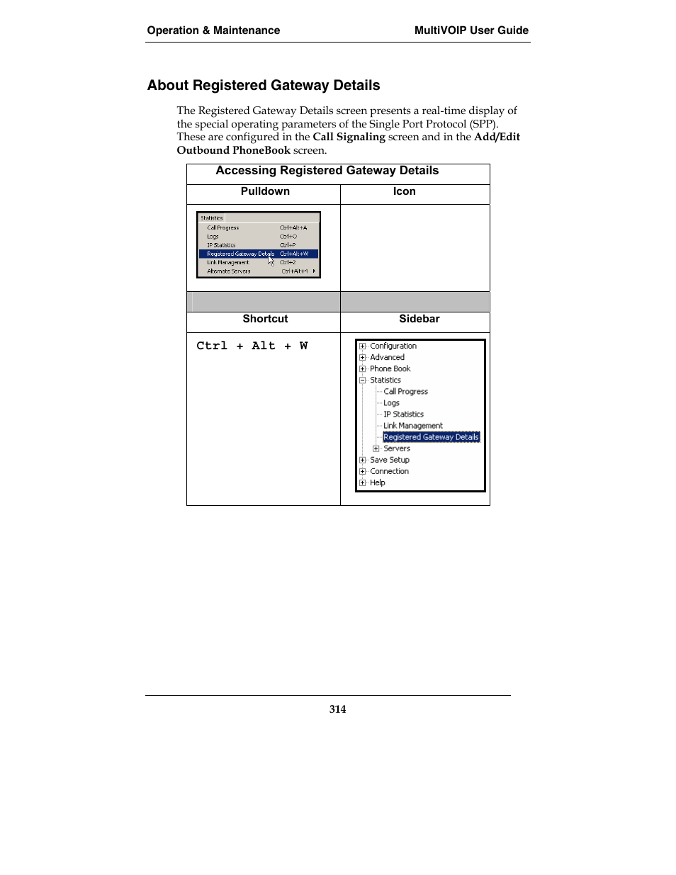 About registered gateway details | Multi-Tech Systems MVP210-SS User Manual | Page 314 / 415