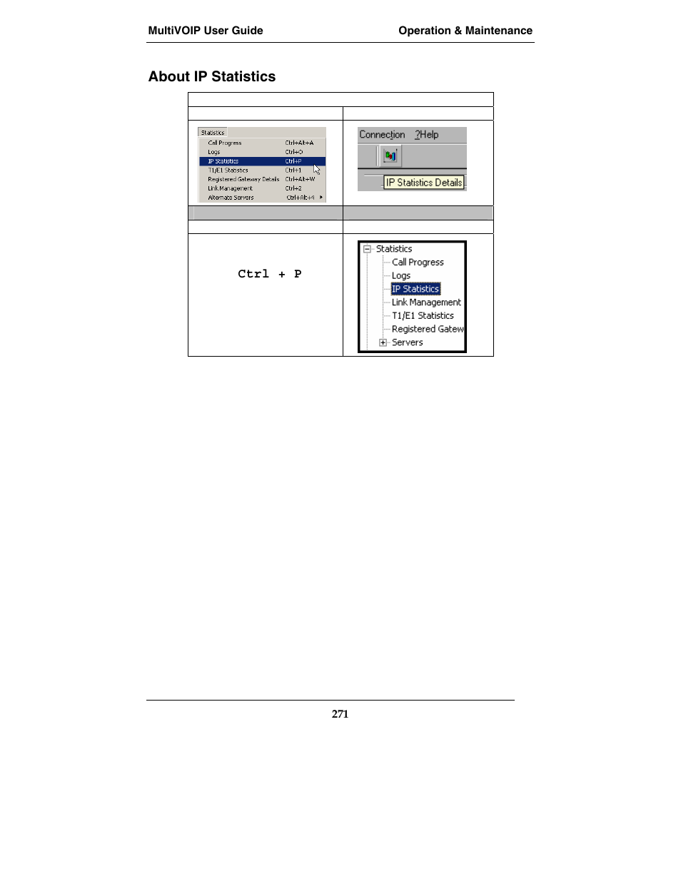 About ip statistics | Multi-Tech Systems E1 User Manual | Page 271 / 395