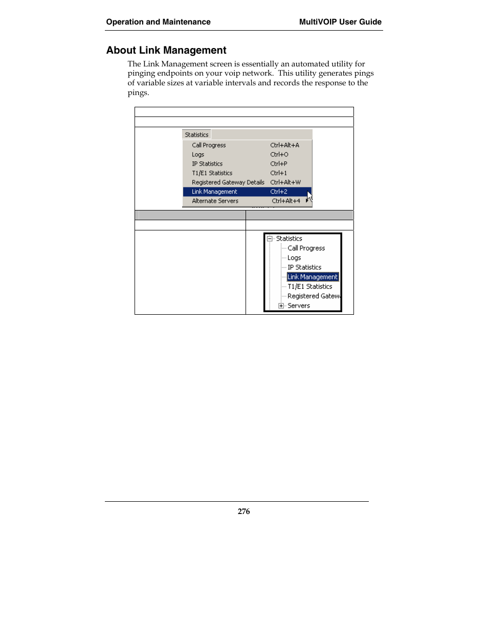 About link management | Multi-Tech Systems E1 User Manual | Page 276 / 395