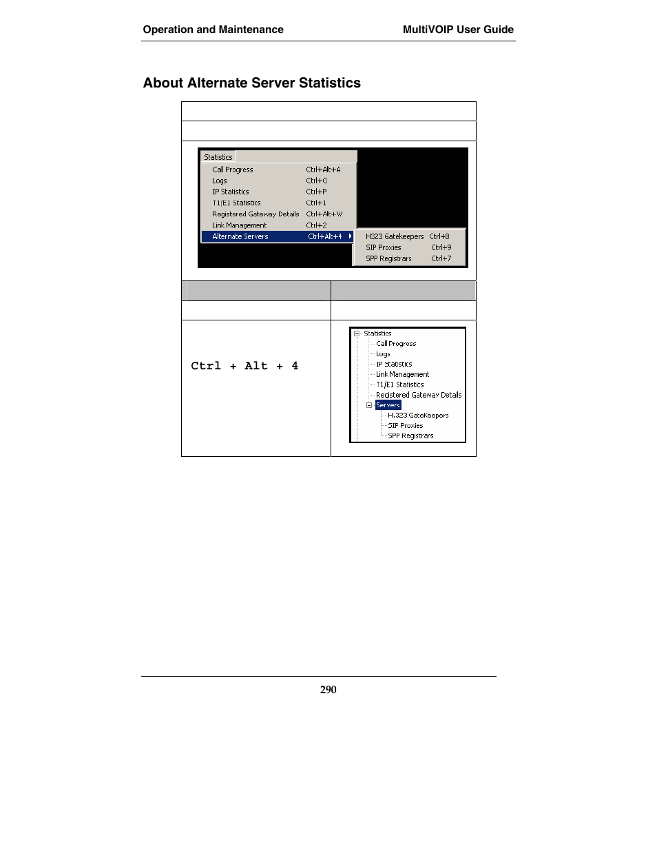 About alternate server statistics | Multi-Tech Systems E1 User Manual | Page 290 / 395