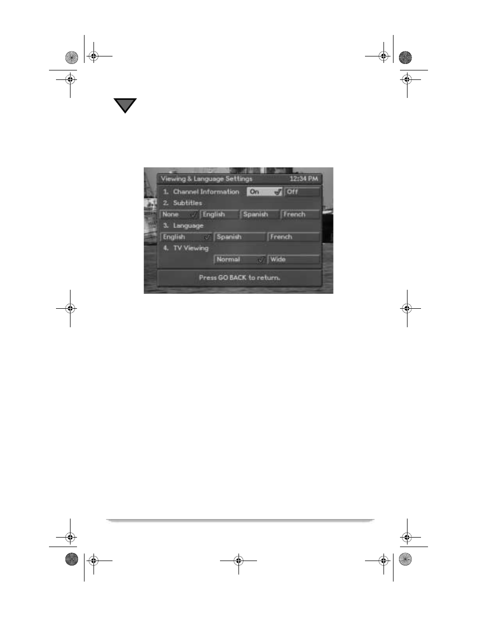 Viewing and language settings | Motorola Vanguard 305 User Manual | Page 48 / 96