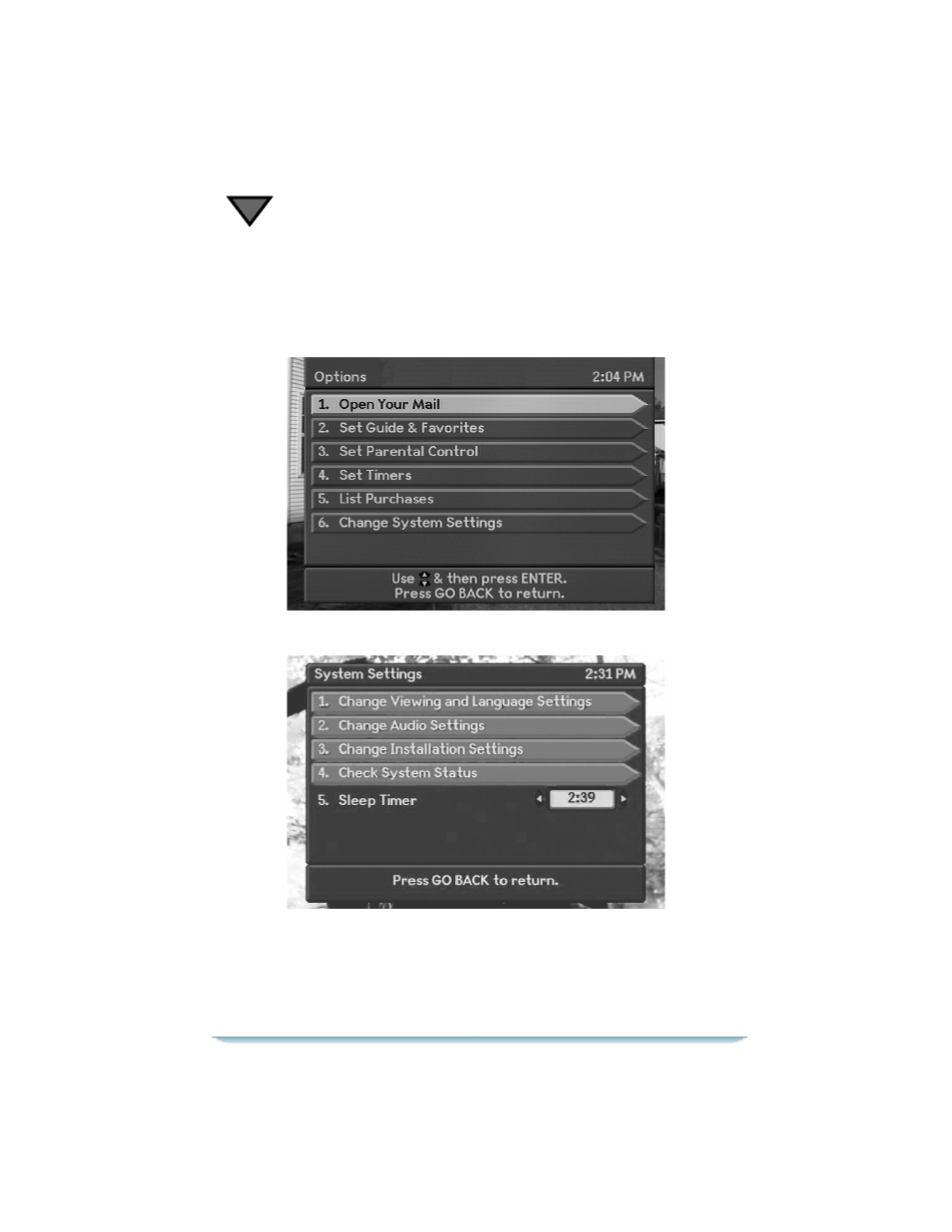 Additional features, Options, System settings | Additional features options | Motorola DSR470 User Manual | Page 38 / 88