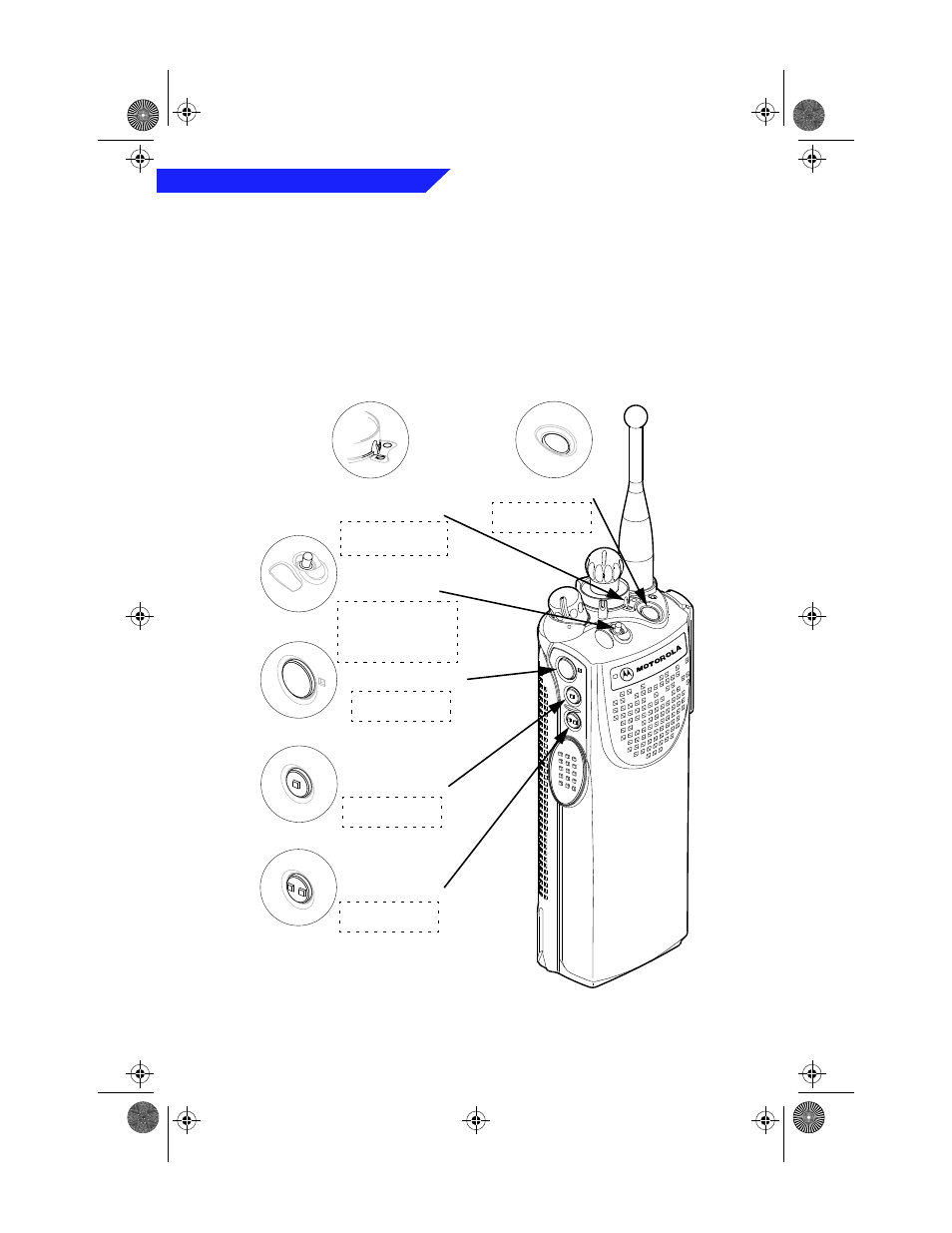 Radio controls, Programmable switches and buttons, 2 introduction | Motorola BASIC XTS 3000 User Manual | Page 6 / 52
