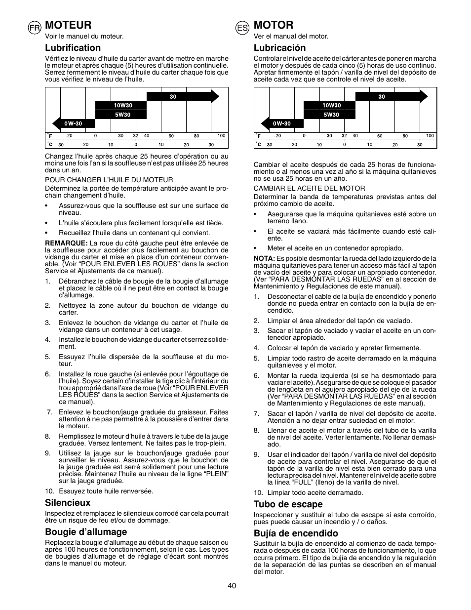 Moteur, Motor | McCulloch PM85  EU User Manual | Page 40 / 60