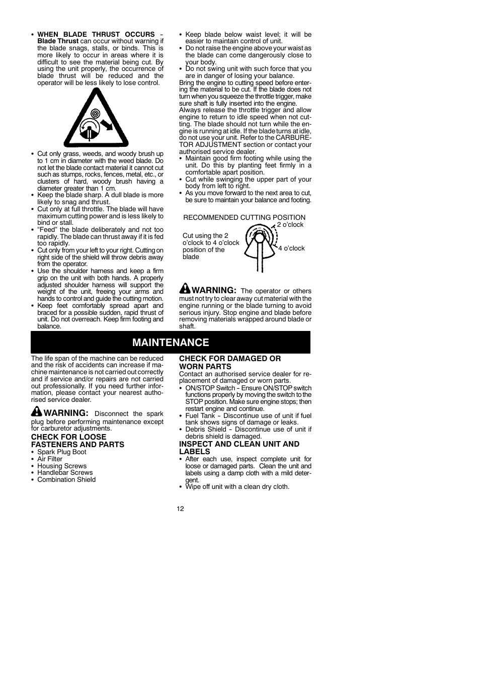 Maintenance, Warning | McCulloch MAC 250 B User Manual | Page 12 / 18