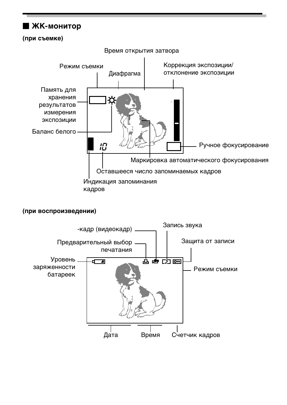 Olympus C-3040 Zoom User Manual | Page 9 / 40