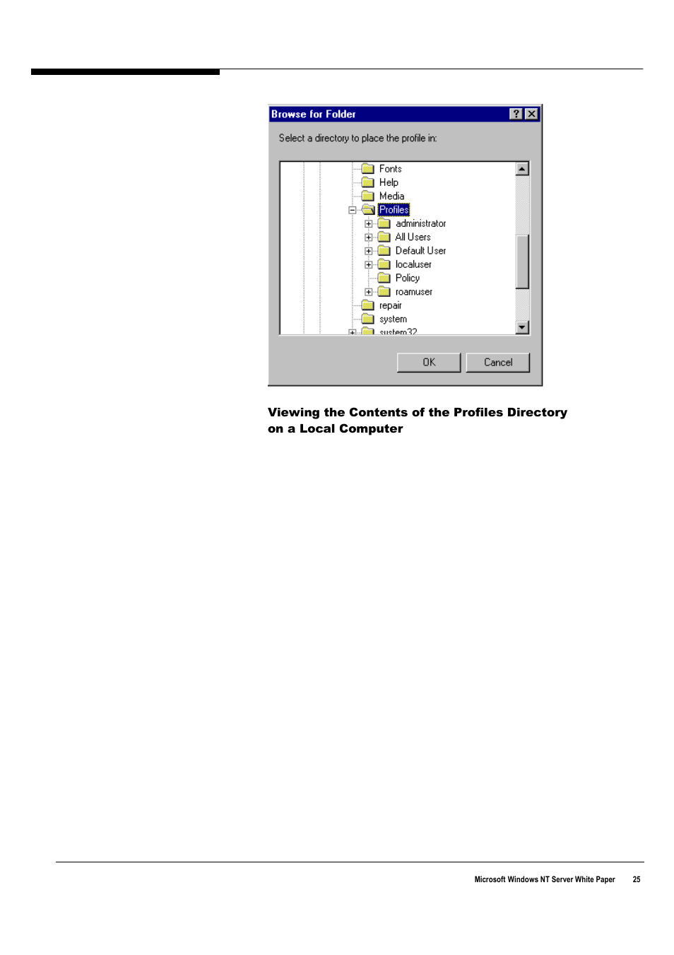 Microsoft Windows NT 4.0 User Manual | Page 33 / 104