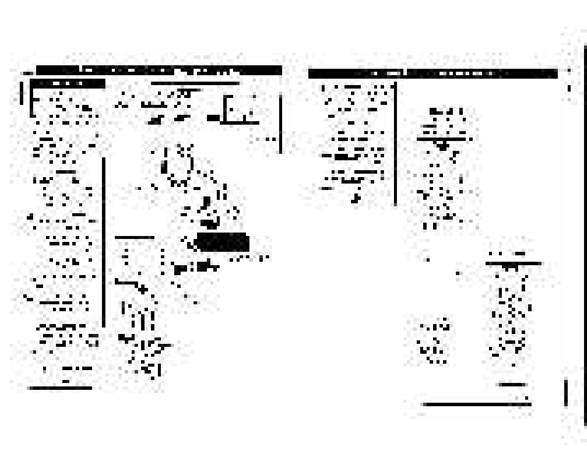 Philips COLOR TV User Manual | Page 4 / 30