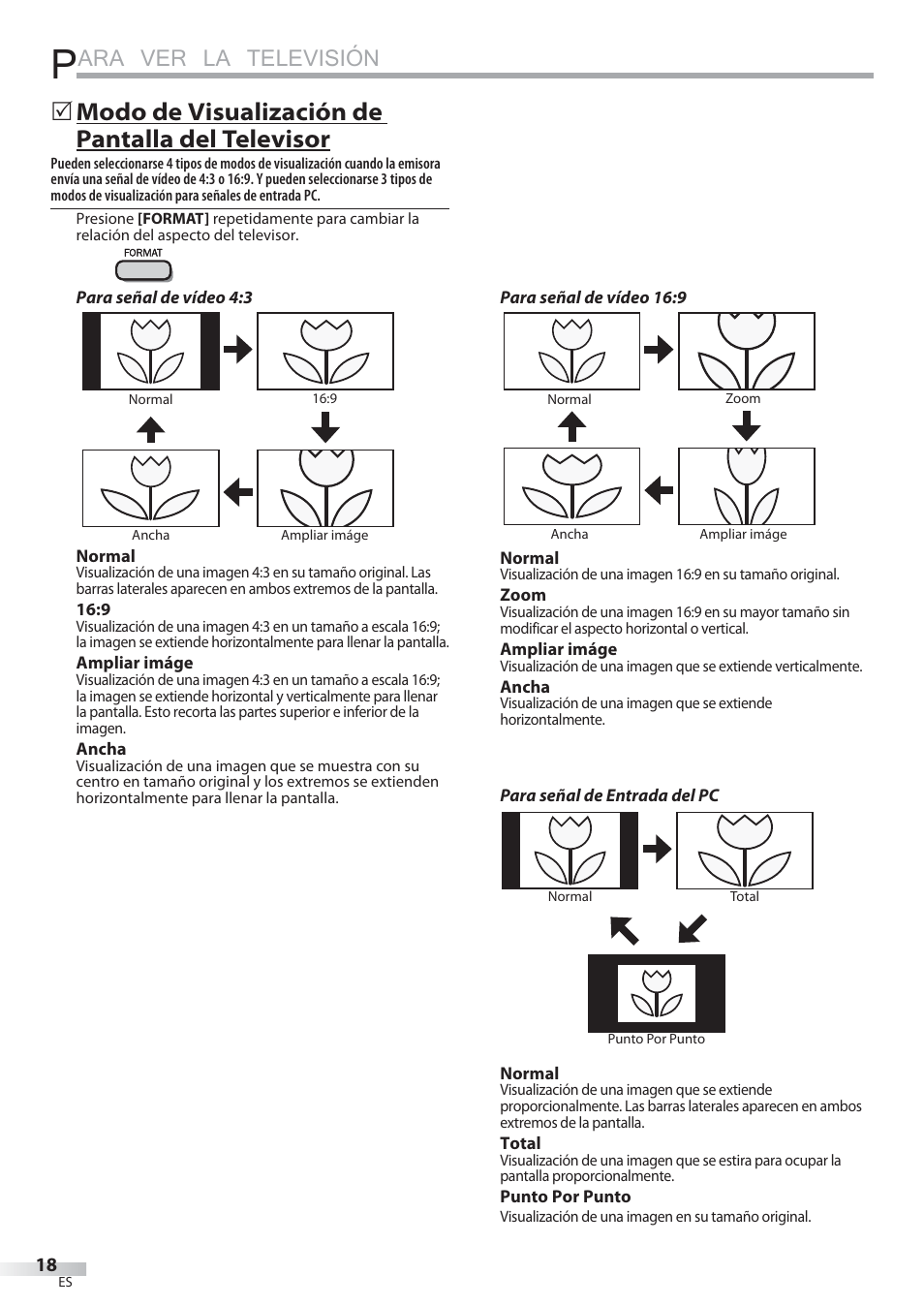 Ara ver la televisión, Modo de visualización de pantalla del televisor | Philips Magnavox 22MF339B User Manual | Page 96 / 118