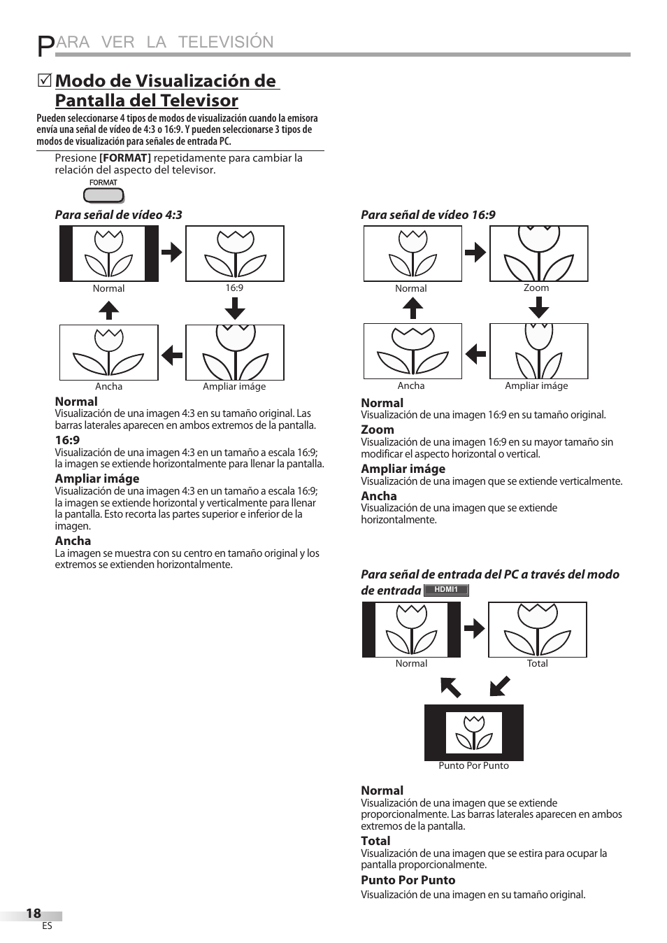 Ara ver la televisión, Modo de visualización de pantalla del televisor | Philips Magnavox 32MF339B User Manual | Page 94 / 115