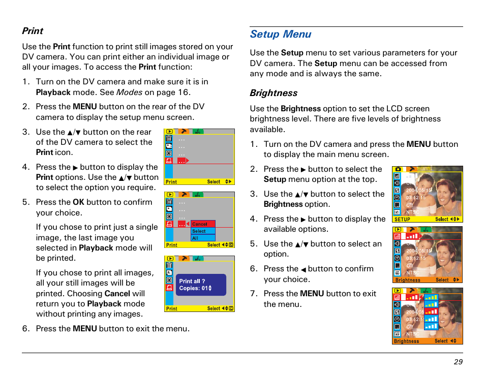 Setup menu | Microtek MV300 User Manual | Page 29 / 47