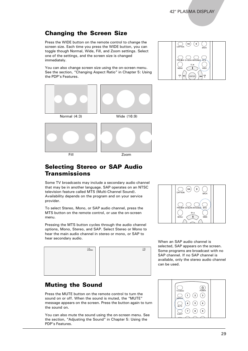 Changing the screen size, Selecting stereo or sap audio transmissions, Muting the sound | Microtek MHP1-HD User Manual | Page 29 / 48