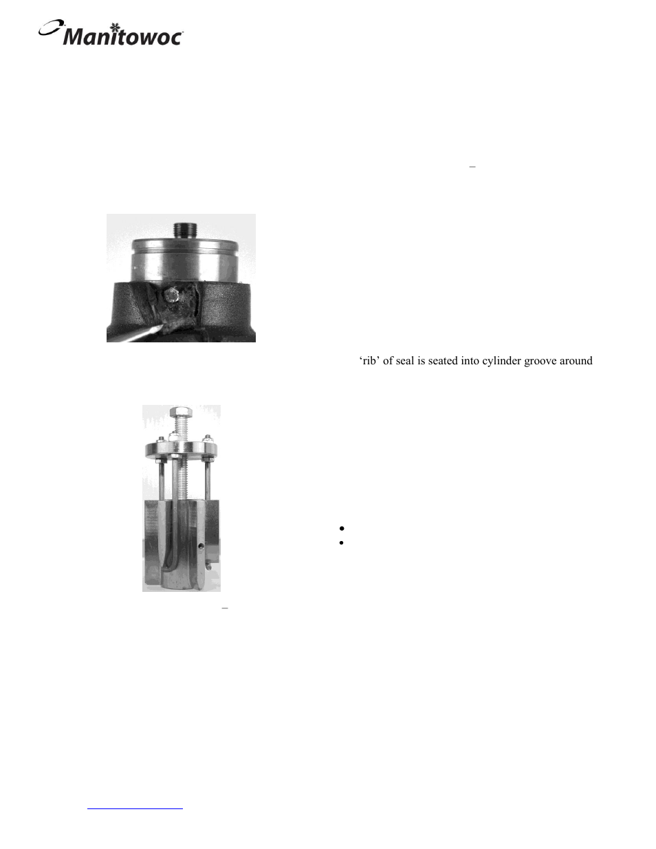 Manitowoc Ice SN12 User Manual | 1 page