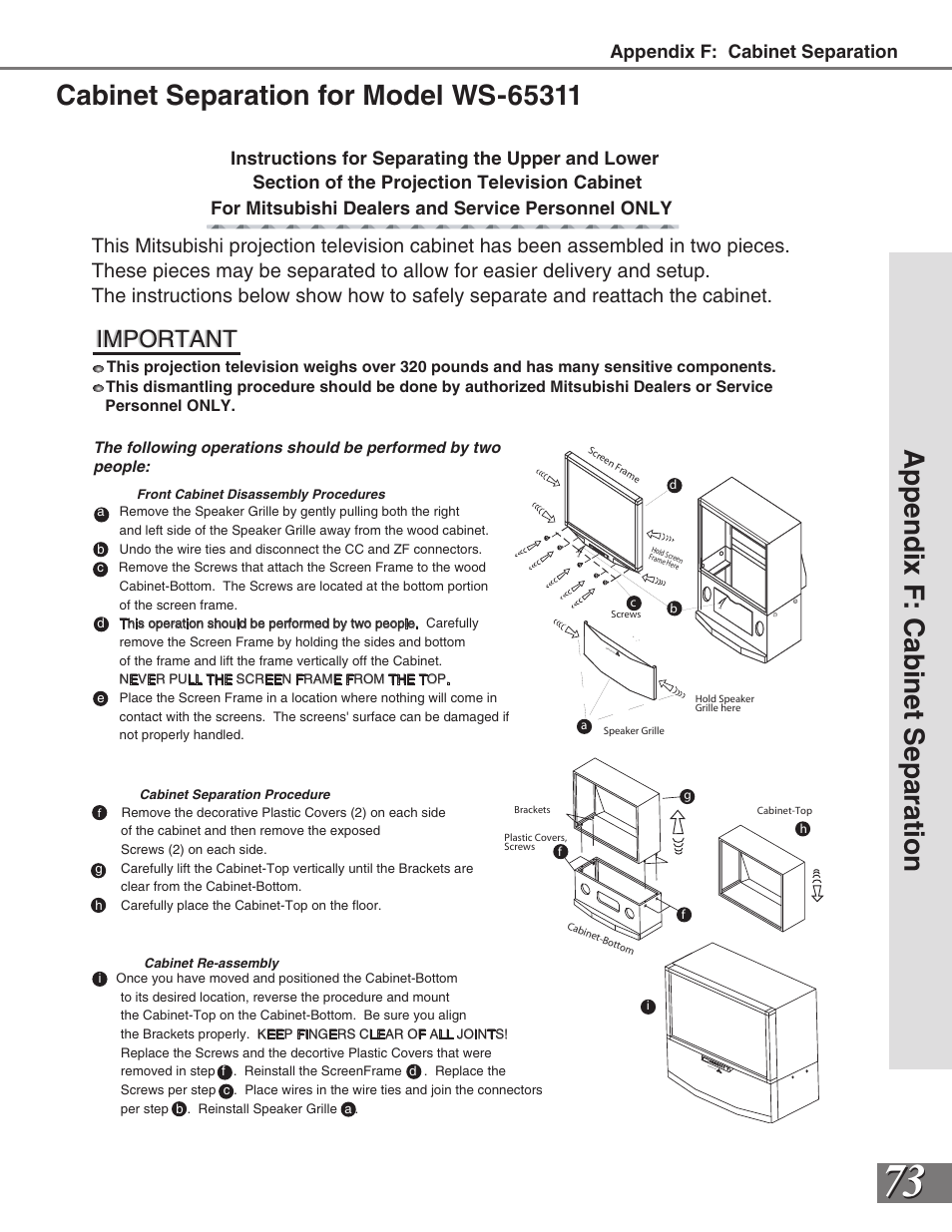 Important | MITSUBISHI ELECTRIC VS-50111 User Manual | Page 73 / 79