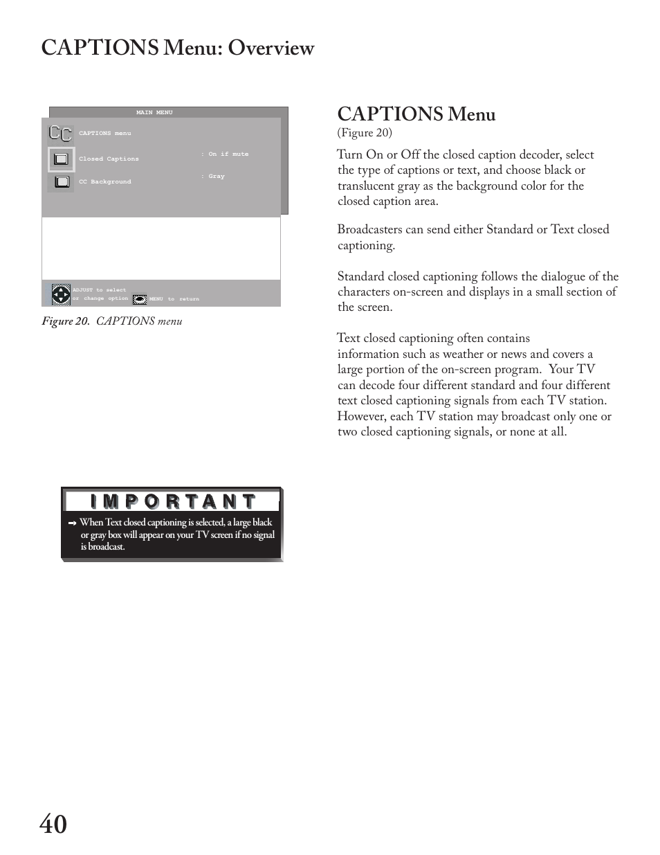 Captions menu: overview, Captions menu | MITSUBISHI ELECTRIC WT - 42313 User Manual | Page 40 / 76