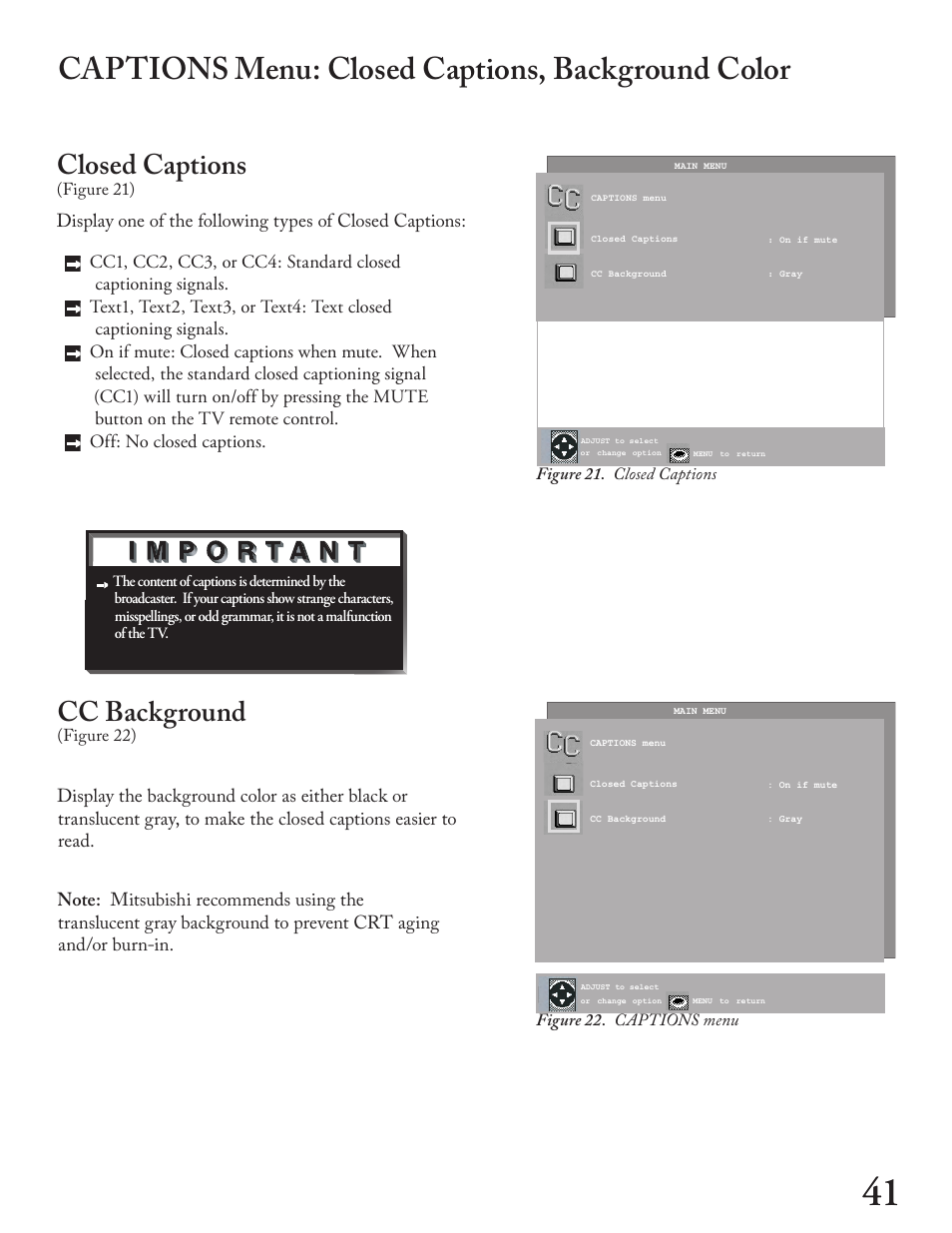 Captions menu: closed captions, background color, Closed captions, Cc background | MITSUBISHI ELECTRIC WT - 42313 User Manual | Page 41 / 76