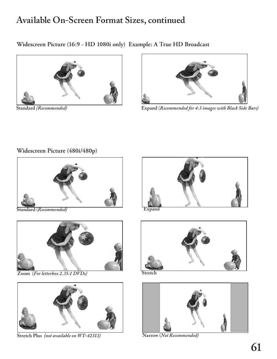 Available on-screen format sizes, continued | MITSUBISHI ELECTRIC WT - 42313 User Manual | Page 61 / 76