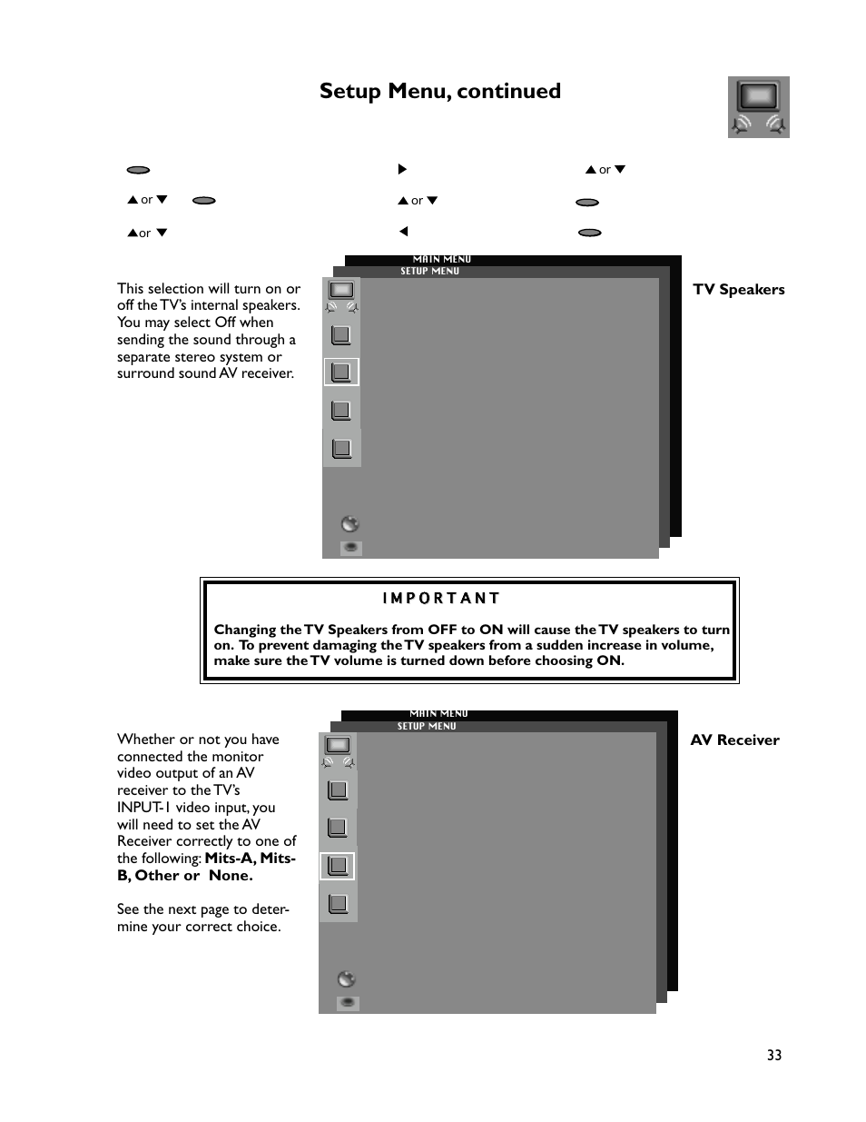 Setup menu, continued | MITSUBISHI ELECTRIC WT-46805 User Manual | Page 33 / 88