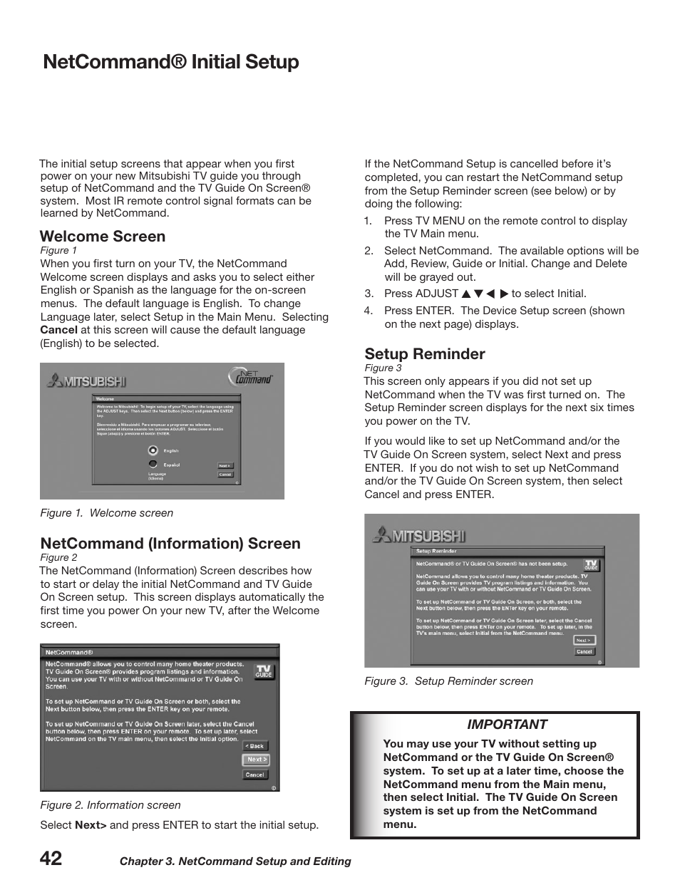 Netcommand® initial setup, Welcome screen, Netcommand (information) screen | Setup reminder | MITSUBISHI ELECTRIC WD-52627 User Manual | Page 42 / 118