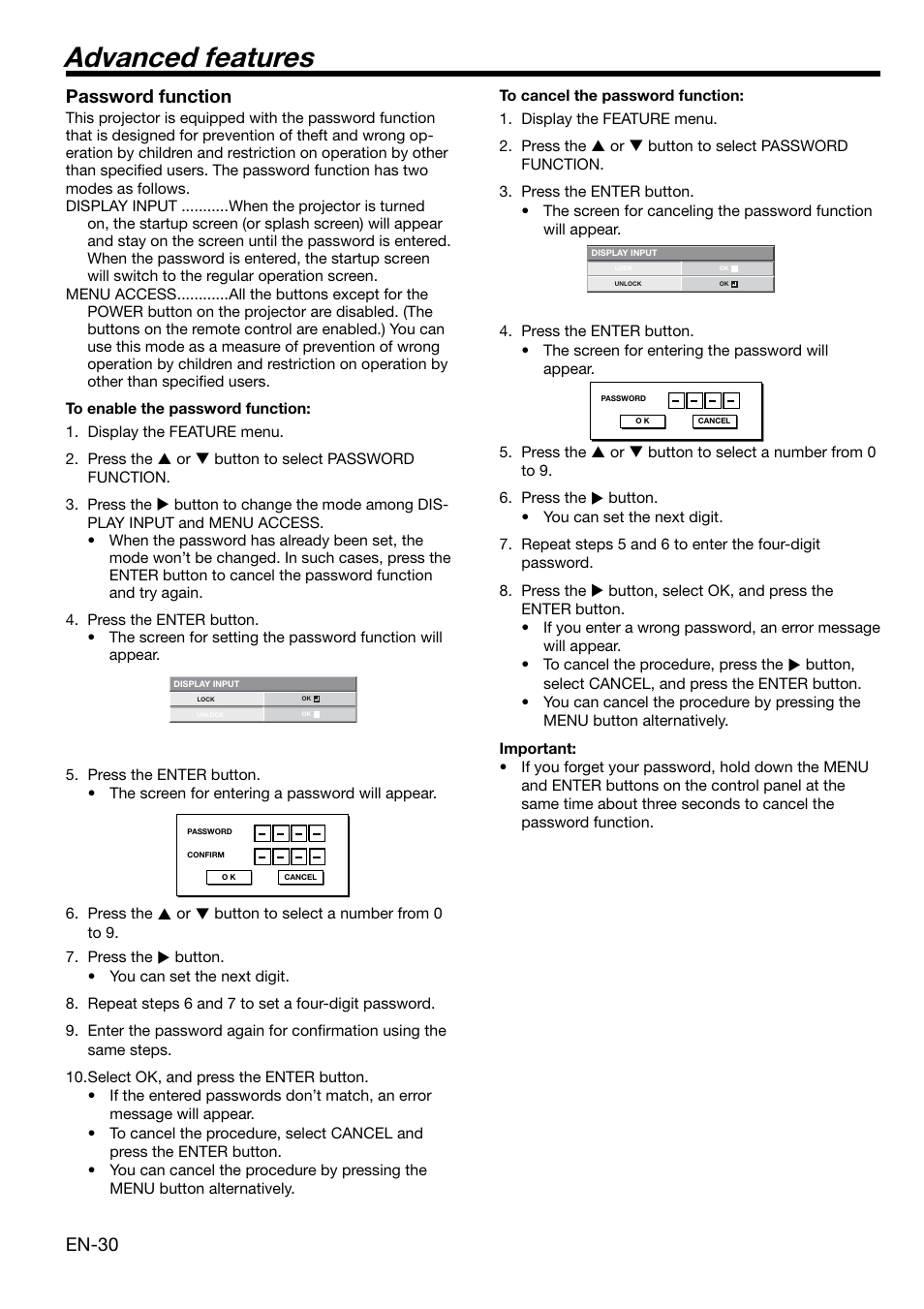 Advanced features, En-30, Password function | MITSUBISHI ELECTRIC HD1000 User Manual | Page 30 / 39